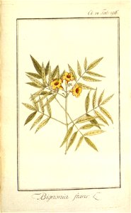 n119_w1150
