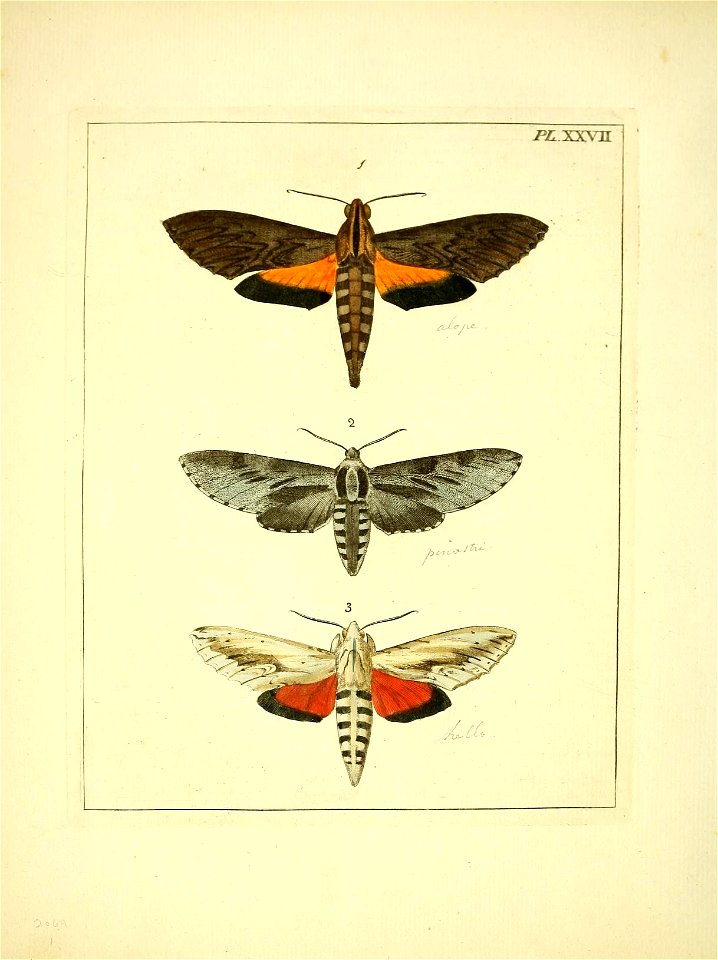 n149_w1150
