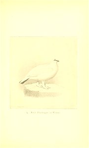 n222_w1150
