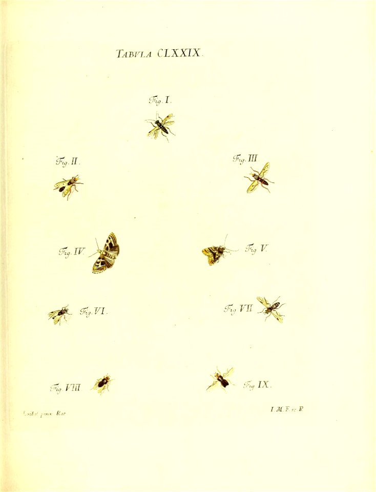 n168_w1150