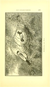 n246_w1150