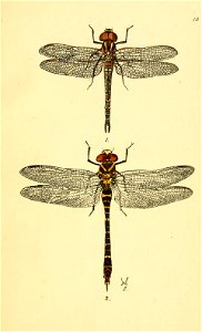 n56_w1150