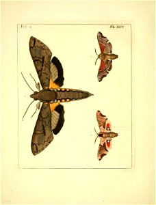 n109_w1150