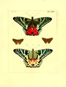n102_w1150