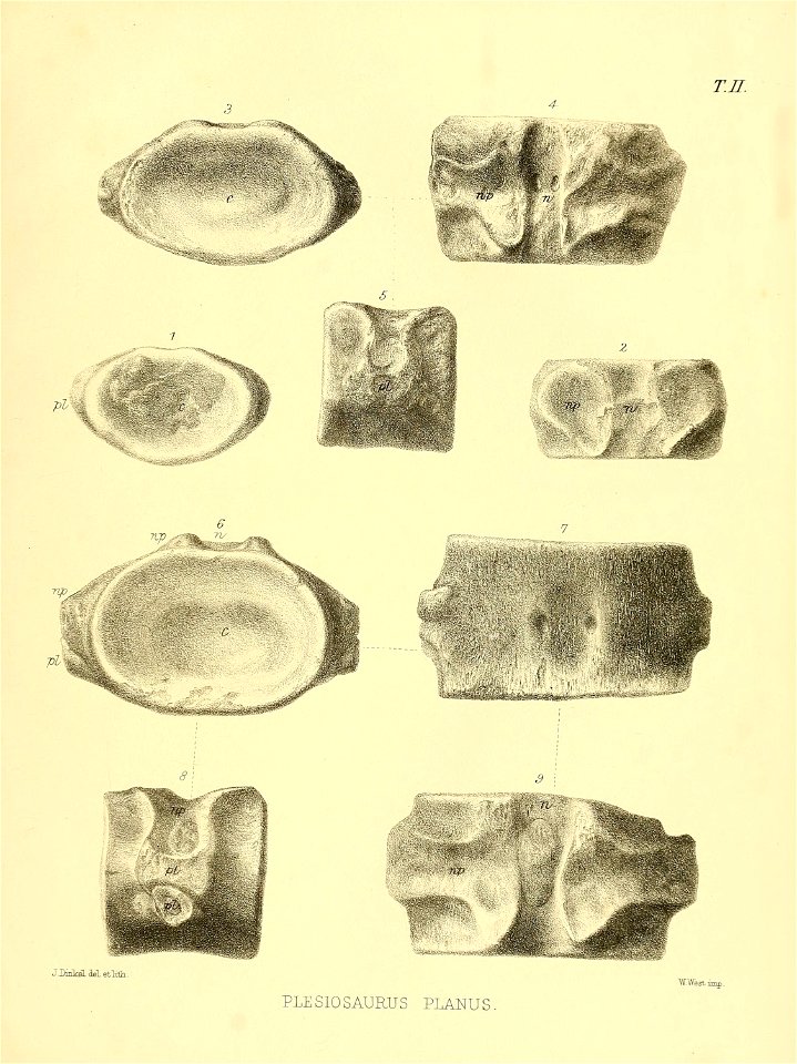 n428_w1150