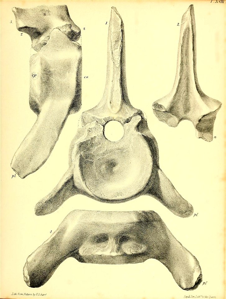 n212_w1150