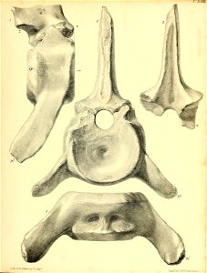 n212_w1150