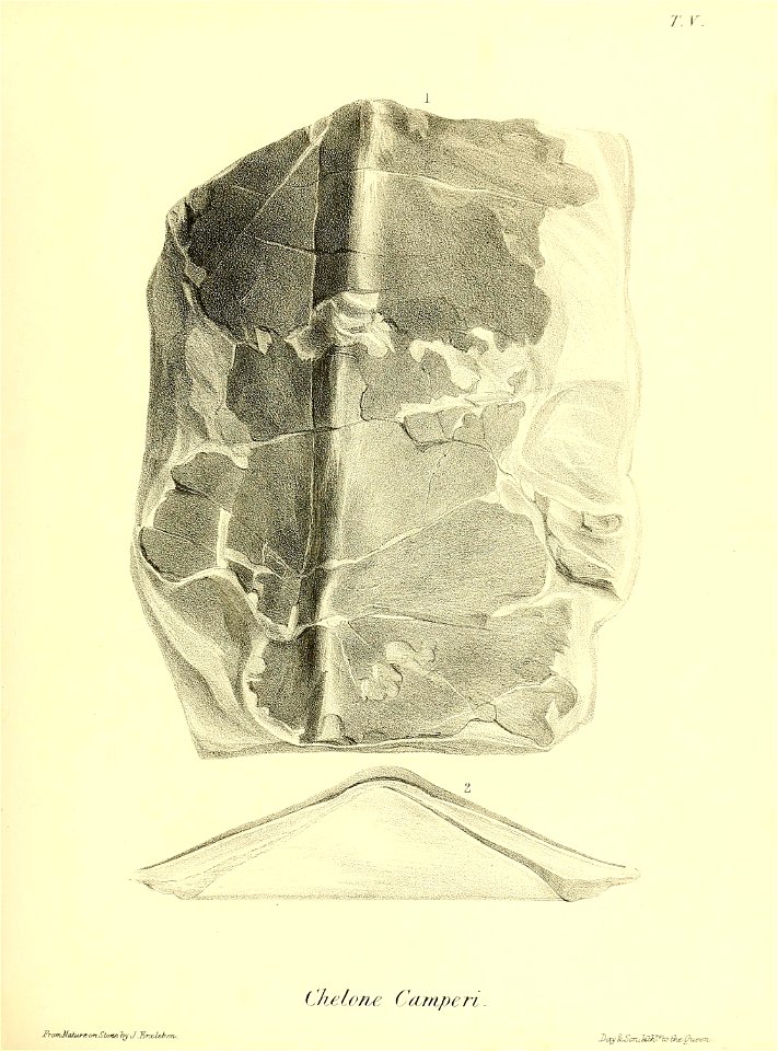 n152_w1150