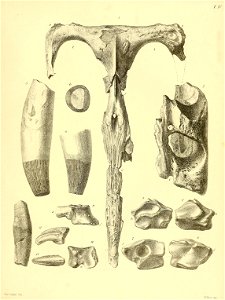 n392_w1150