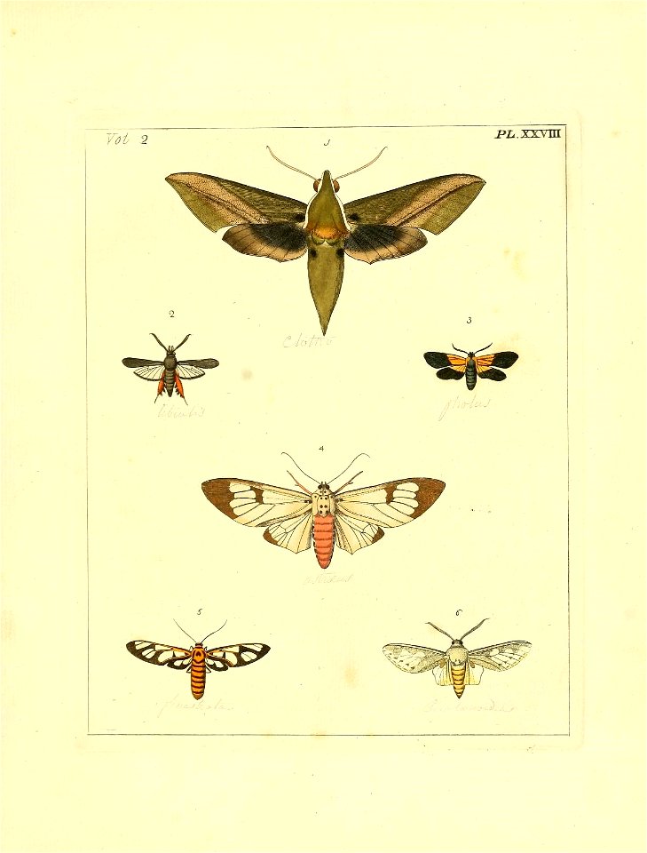 n122_w1150
