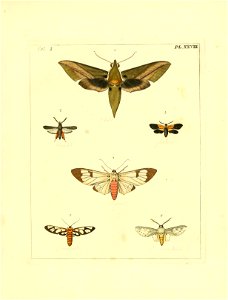 n122_w1150