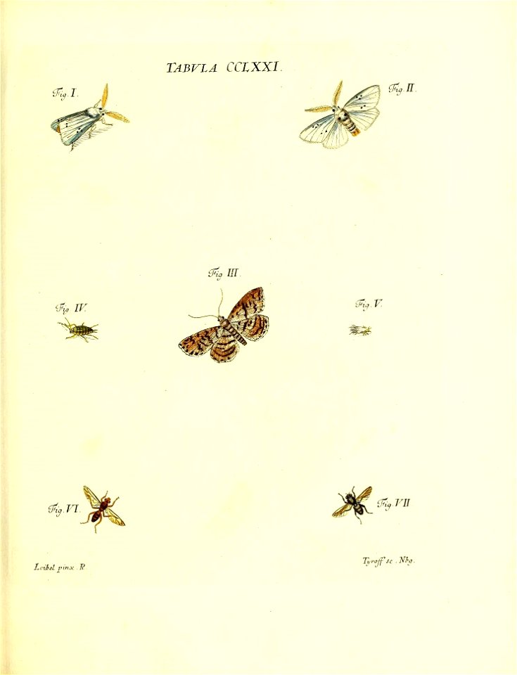 n154_w1150