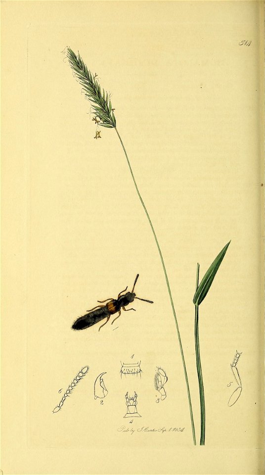 n507_w1150
