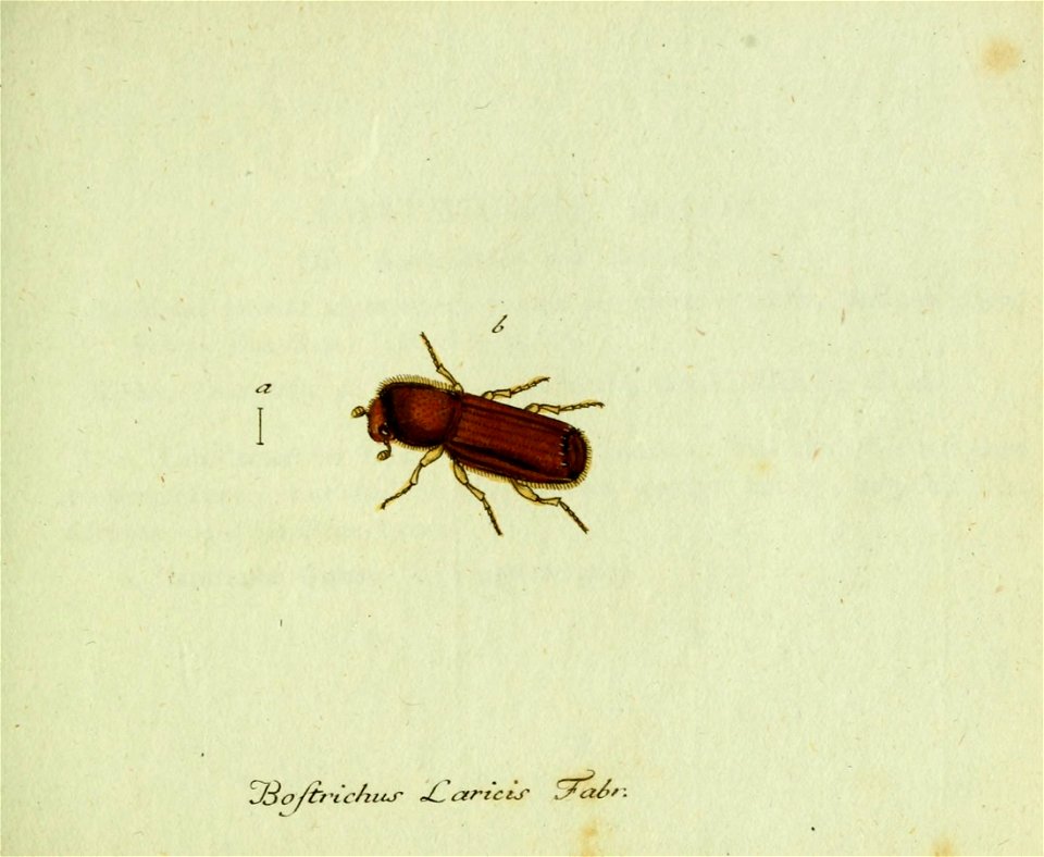 n214_w1150