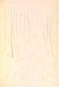 n318_w1150