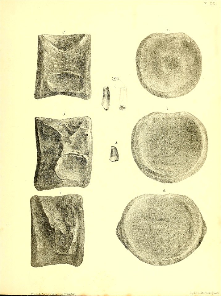 n220_w1150