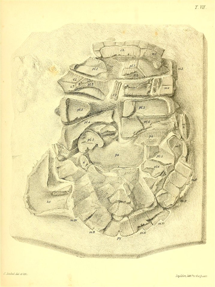 n160_w1150