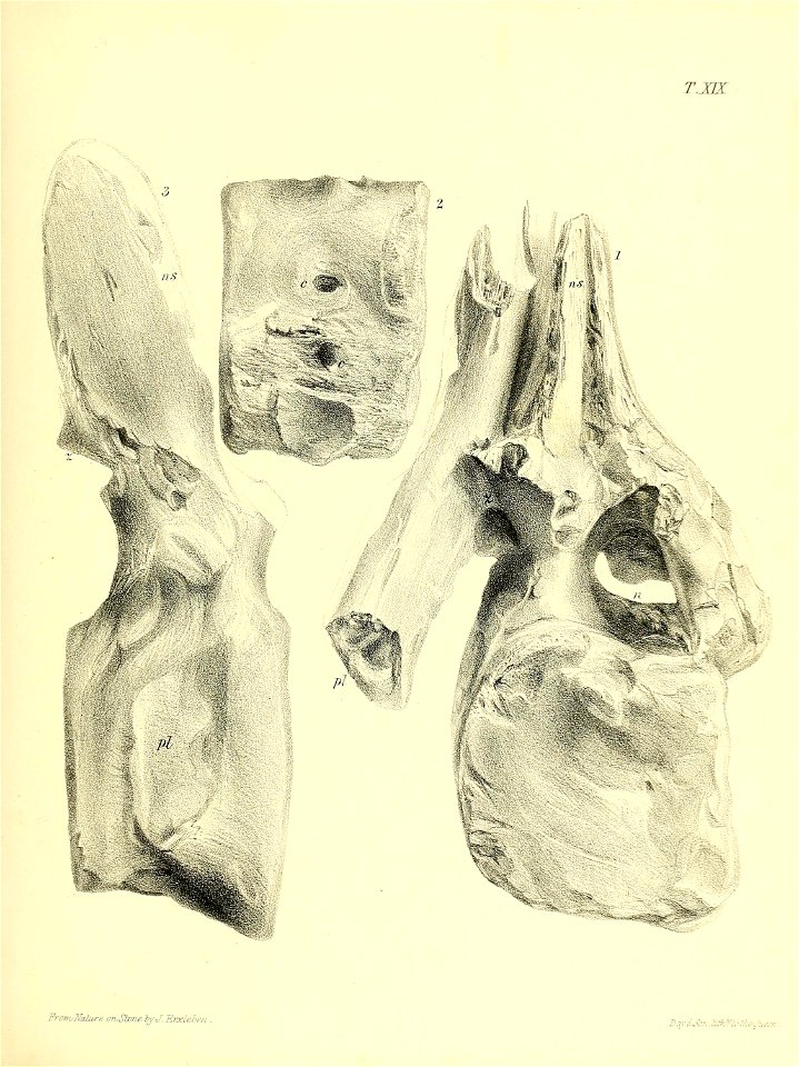 n216_w1150