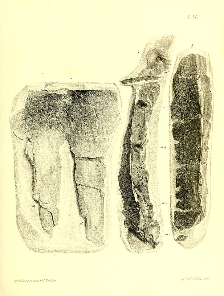 n156_w1150