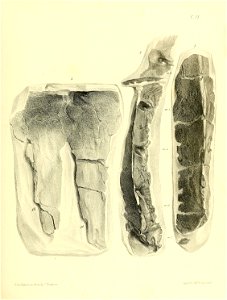 n156_w1150