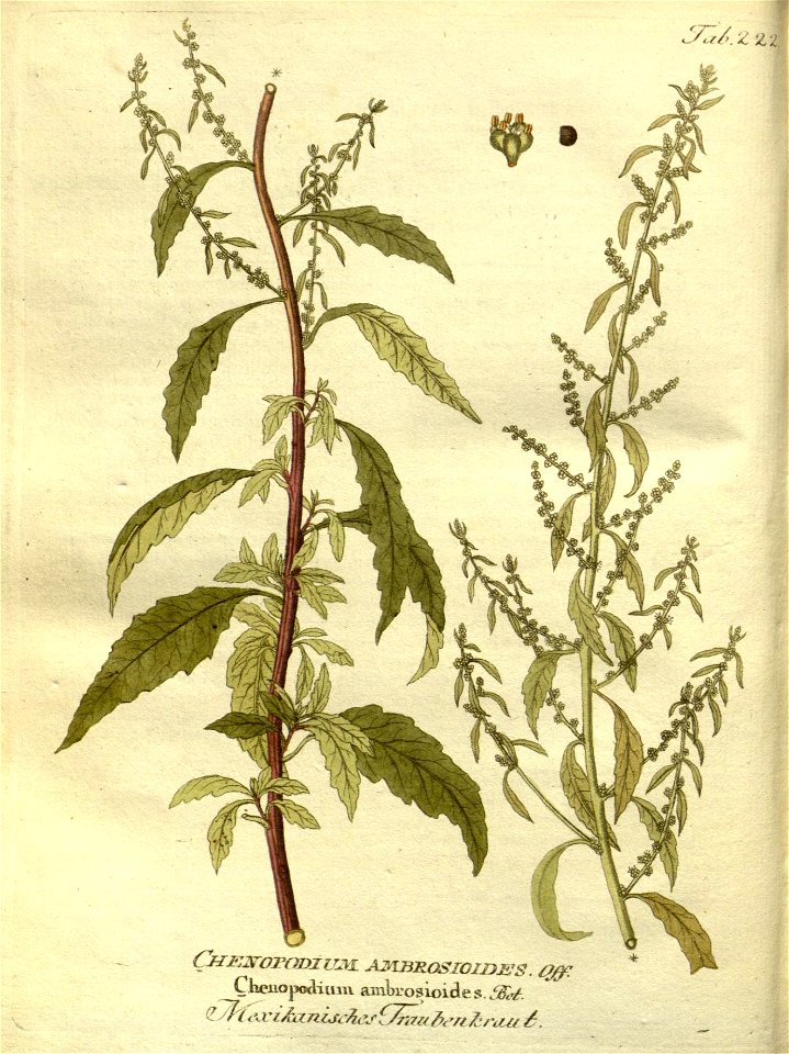 n363_w1150