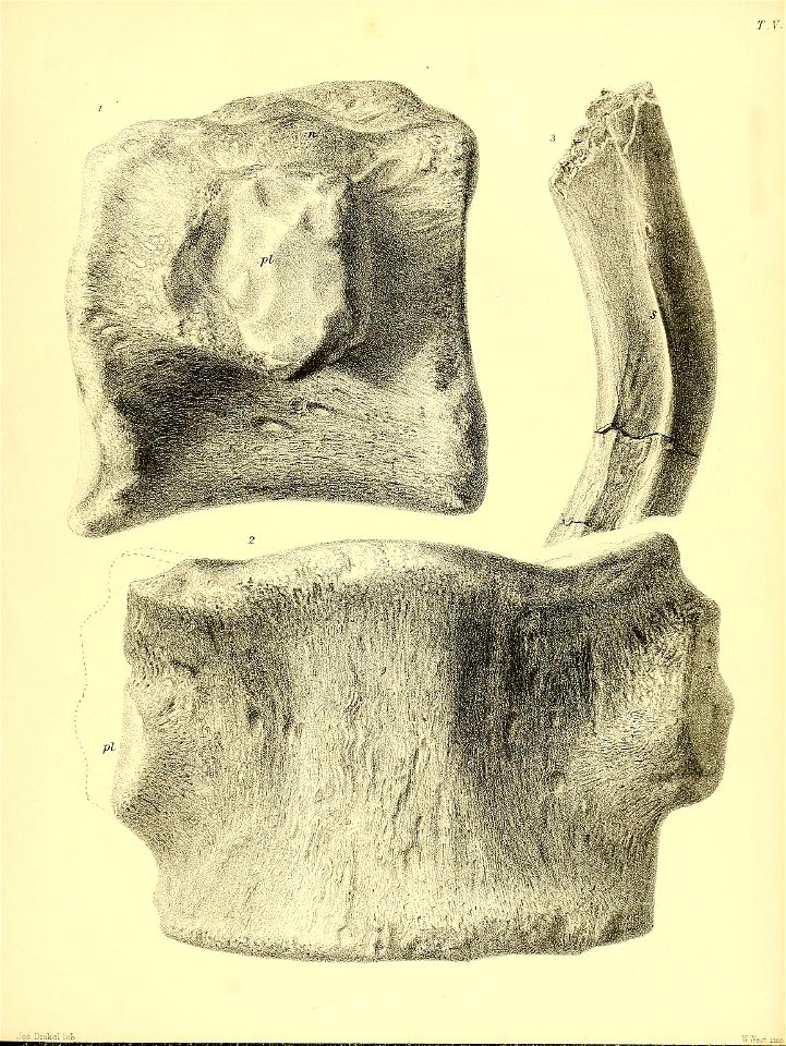n396_w1150