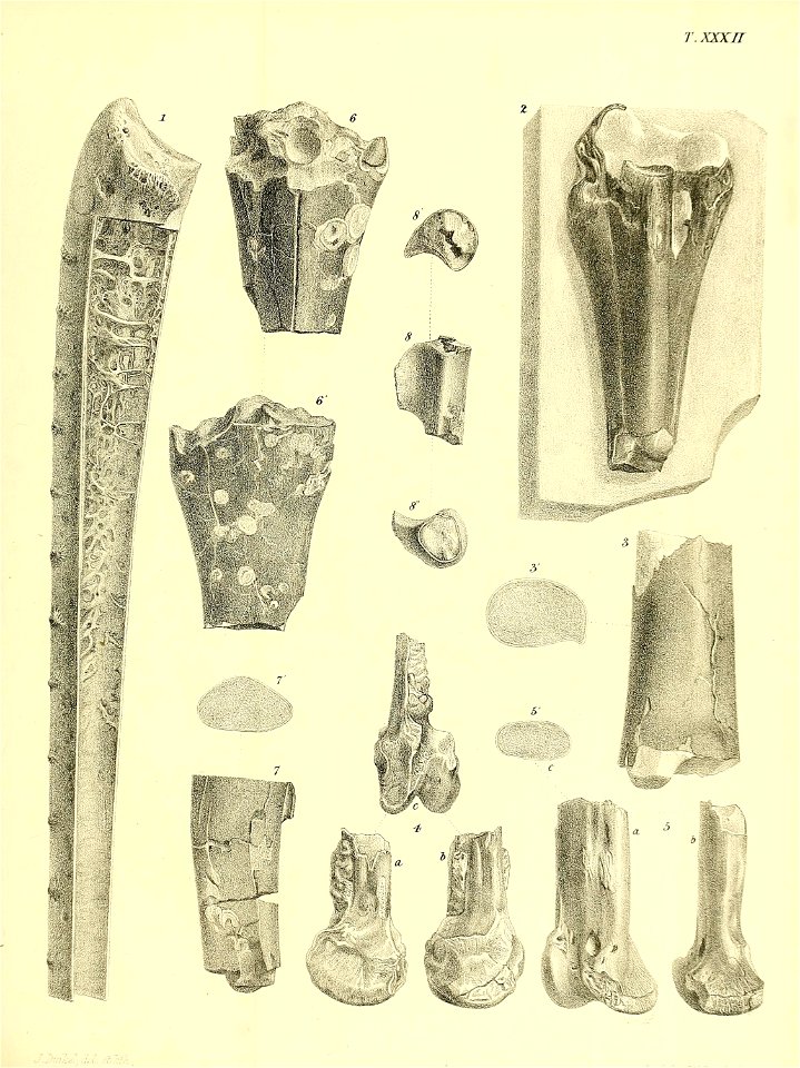 n276_w1150