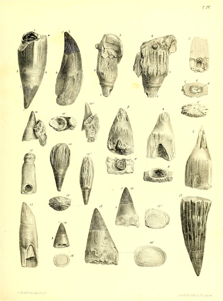 n148_w1150
