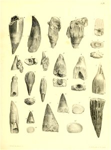 n148_w1150