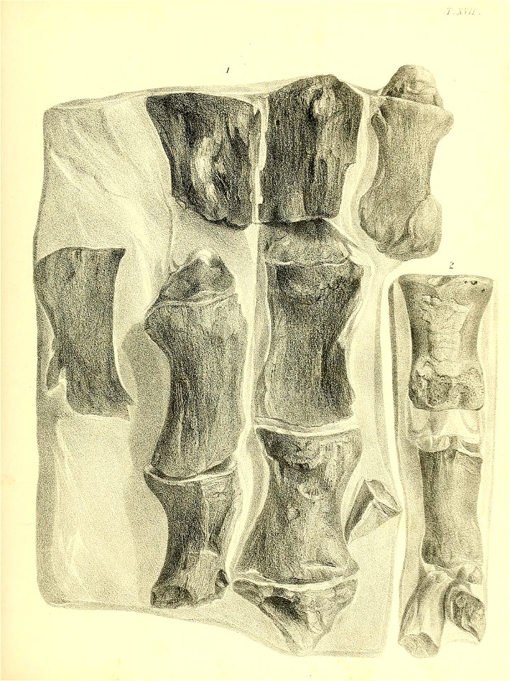 n208_w1150