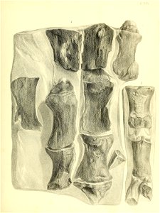 n208_w1150