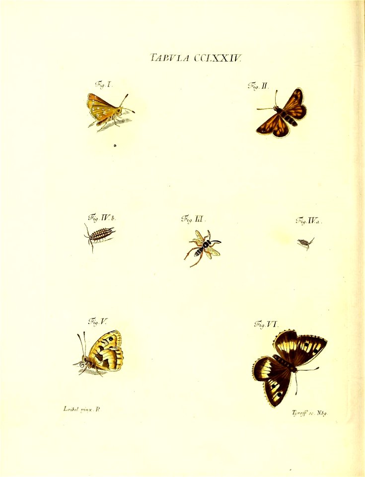 n159_w1150