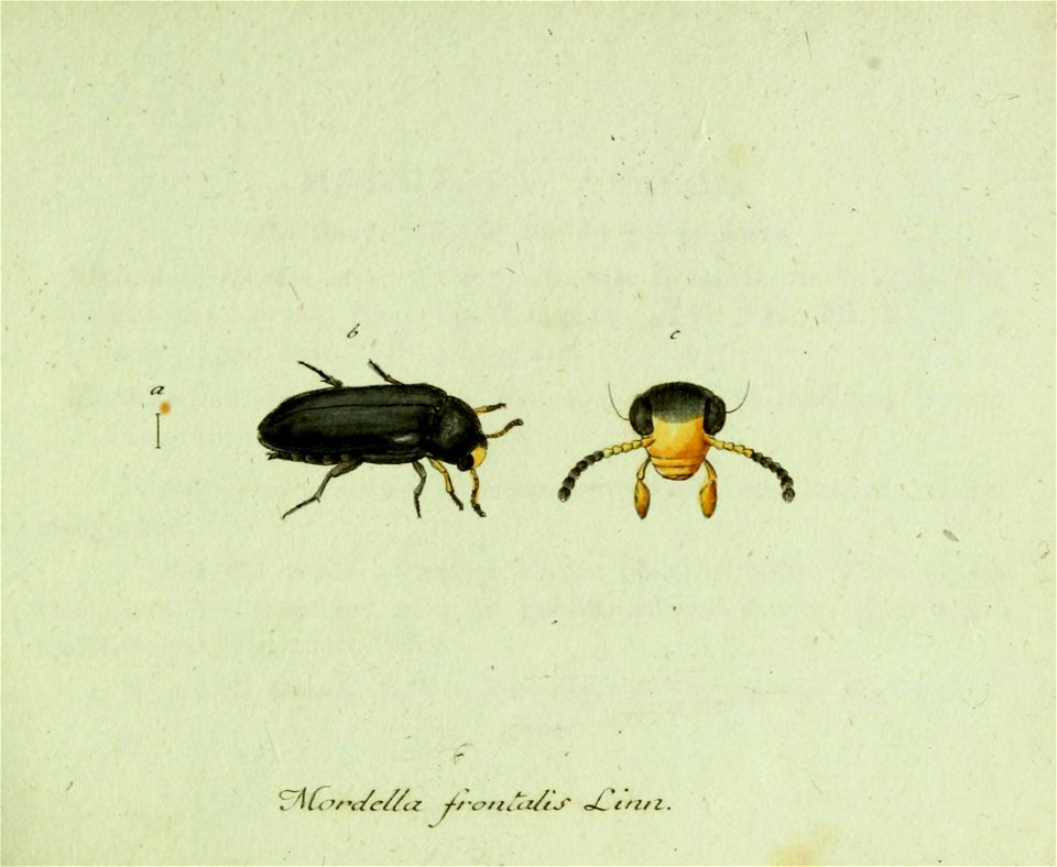 n54_w1150