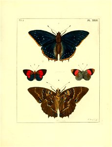 n108_w1150