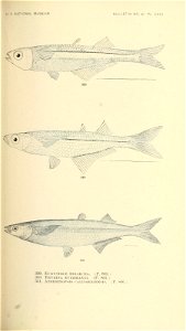 n534_w1150
