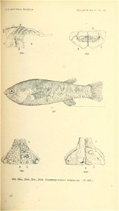 n504_w1150
