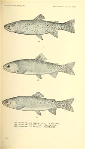 n444_w1150