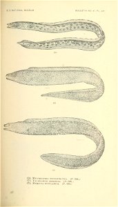 n414_w1150