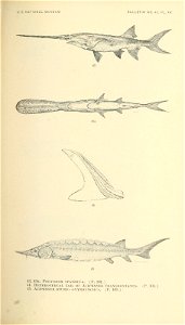 n324_w1150