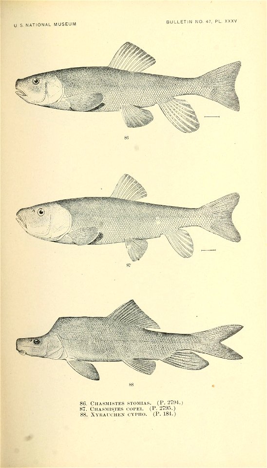 n354_w1150