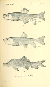n354_w1150