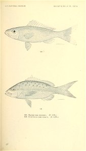 n682_w1150