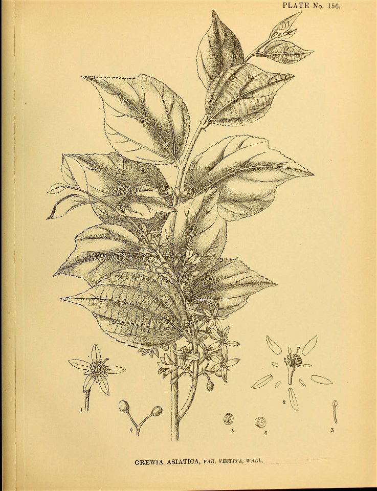 n408_w1150