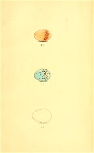 n366_w1150