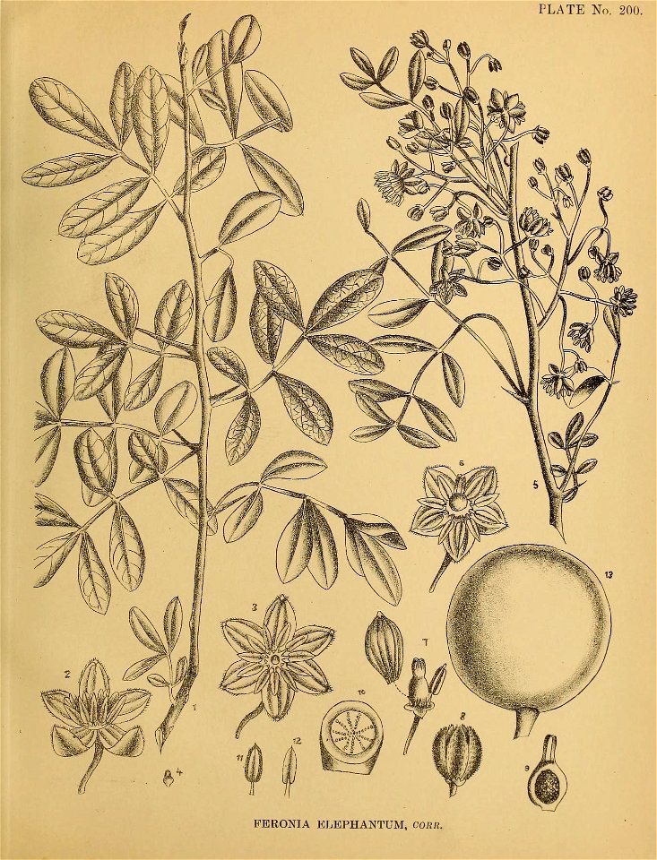 n502_w1150