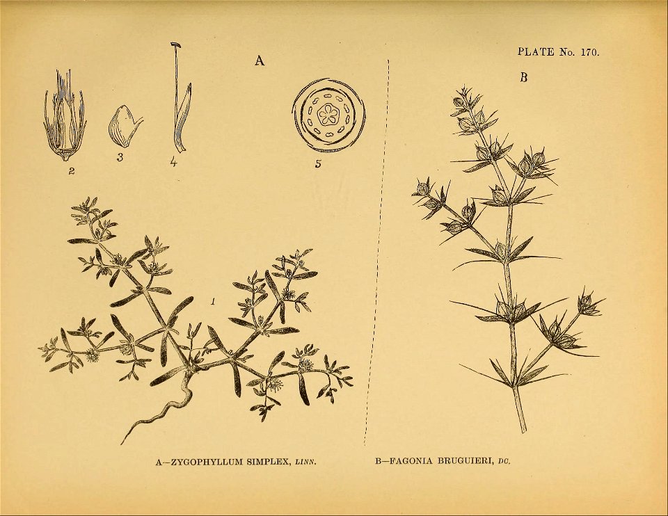 n438_w1150
