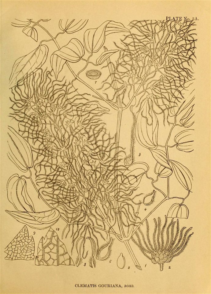 n14_w1150