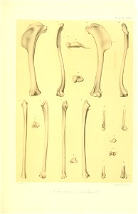 n334_w1150
