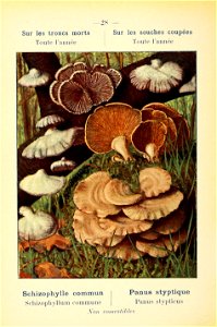 n69_w1150