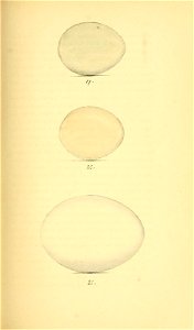 n182_w1150
